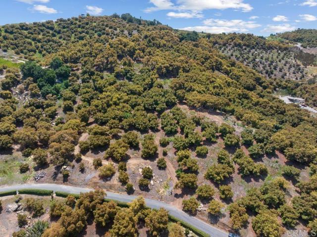 0 Avenida Mil Flores, Bonsall, California 92003, ,Residential Land,For Sale,Avenida Mil Flores,NDP2404555