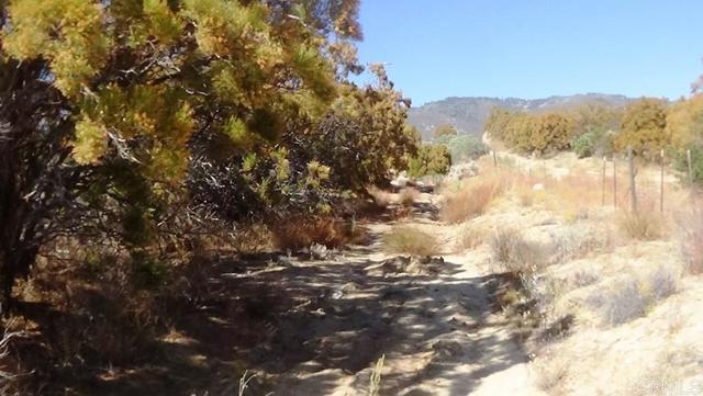 Detail Gallery Image 6 of 41 For 37245 Old Forest Rd, Anza,  CA 92539 - – Beds | – Baths