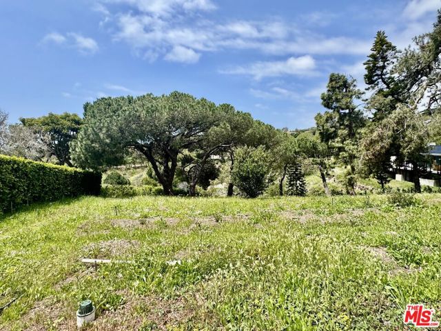 Drew Fenton | 27555 Pacific Coast Highway Malibu CA | MLS: 7292558