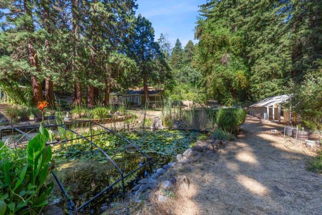 22370 Old Santa Cruz Highway, Los Gatos CA: https://media.crmls.org/mediaz/9583d27f-c308-426b-896f-4af967b0ed0d.jpg