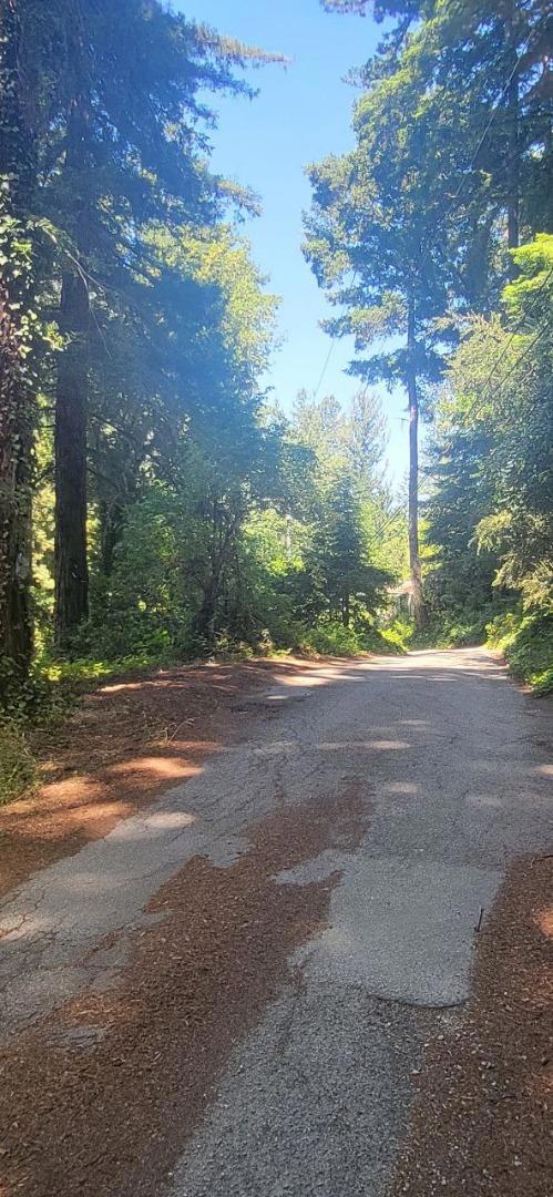 1080 Blue Ridge Drive, Boulder Creek CA: https://media.crmls.org/mediaz/958c8a2a-7eb5-46f0-bf39-c431a9957dac.jpg