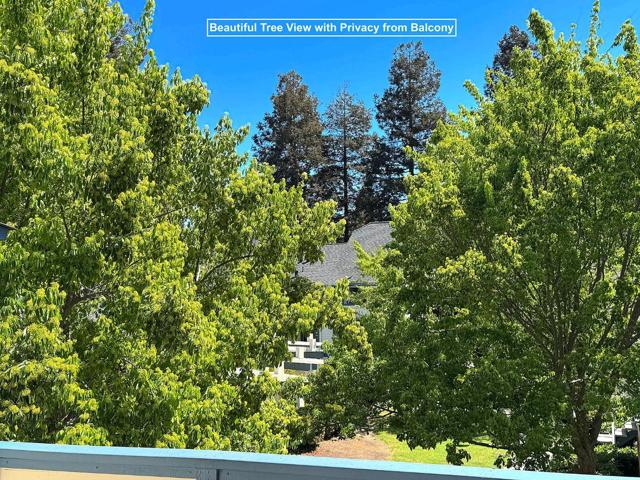 46774 Winema, Fremont CA: https://media.crmls.org/mediaz/958d0930-1cc5-4f09-bfa5-b28681b4aaac.jpg