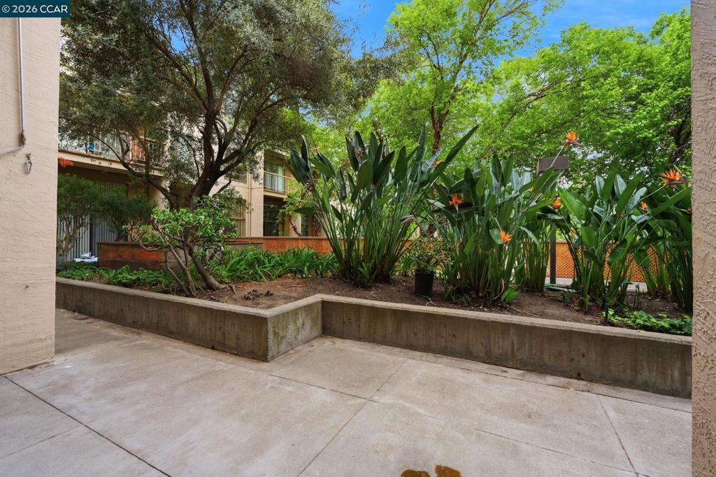 460 N Civic Dr #302