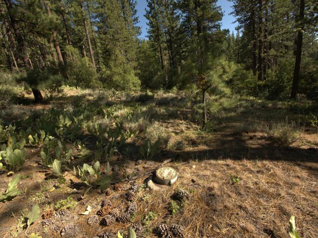 881 Onnontioga Street, South Lake Tahoe CA: https://media.crmls.org/mediaz/95b29bd8-1cc6-4f73-a2a5-a3c0dbb29882.jpg