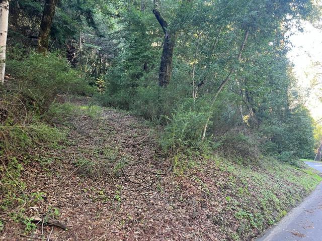 559 Patrol Road, Woodside CA: https://media.crmls.org/mediaz/95bc6411-088d-4a83-a5af-80bb5c71029c.jpg