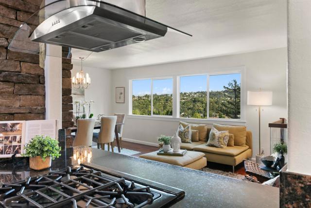 1735 Terrace Drive, Belmont CA: https://media.crmls.org/mediaz/95cb2e17-ec60-4f92-a9d9-079abb504599.jpg