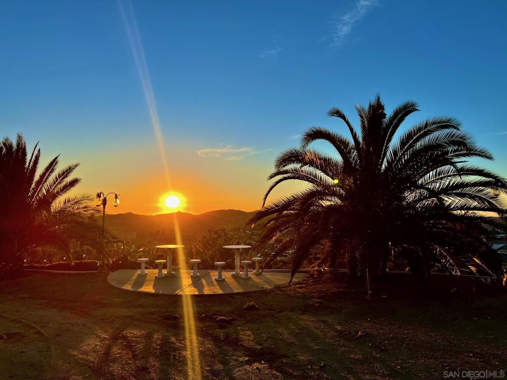 MLS #250028419SD img 23