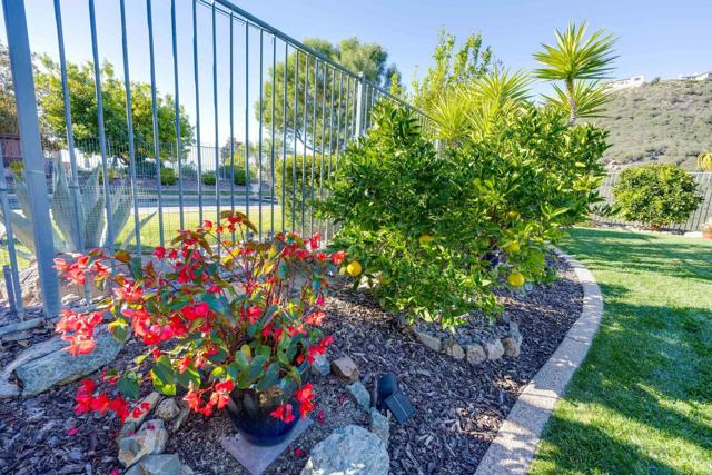 970 Idyllwild Way, San Marcos CA: https://media.crmls.org/mediaz/95da96cf-11e9-45bf-8006-71230938dfd5.jpg