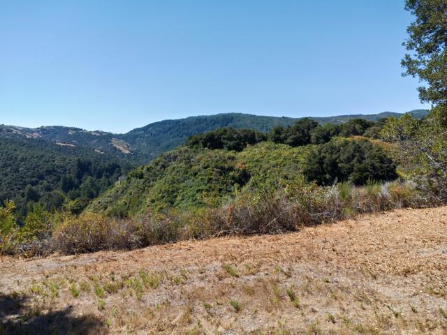 4 Holding Field Run, Carmel CA: https://media.crmls.org/mediaz/95dca9d3-6c8f-4187-9c24-017cebafad4b.jpg