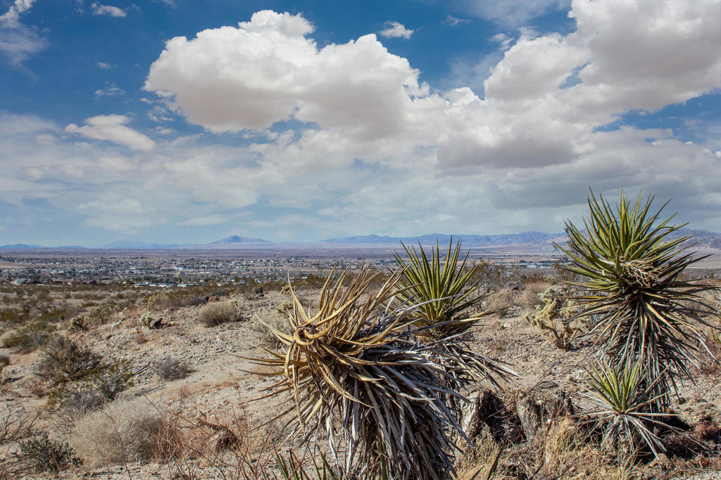 MLS #219131400PS image #24