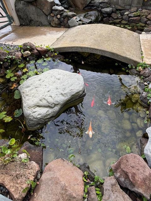 131 30th Avenue, Santa Cruz CA: https://media.crmls.org/mediaz/95e76ae5-a226-4674-af14-838ea3401f08.jpg