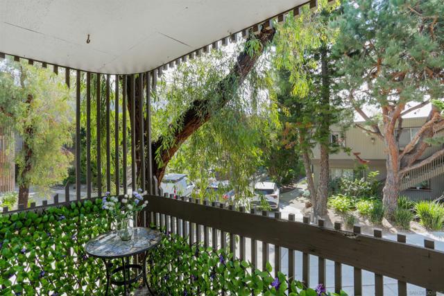 155 Rosebay Dr, Encinitas CA: https://media.crmls.org/mediaz/95e910a8-38c5-4163-ad9b-417c757ea86f.jpg