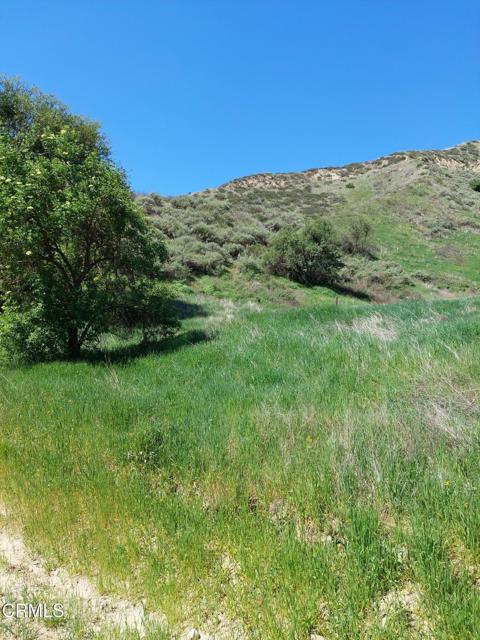 Detail Gallery Image 5 of 8 For 0 Loma Verde Mountainway, Val Verde,  CA 91384 - – Beds | – Baths