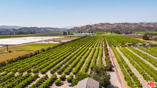 13721 W Telegraph Road, Santa Paula CA: https://media.crmls.org/mediaz/96039a12-04e3-4274-848c-3232768a442a.jpg