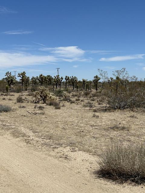 0 Sun Oro Road Road, Yucca Valley CA: https://media.crmls.org/mediaz/96056ecd-5da6-4710-9efb-2c5c7fbb3a12.jpg