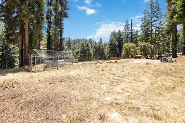 830 Kings Highway, Boulder Creek CA: https://media.crmls.org/mediaz/960b799a-9167-4b48-89af-4691b120323b.jpg