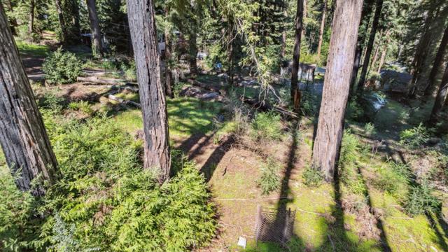 734 Acorn Drive, Boulder Creek CA: https://media.crmls.org/mediaz/96102e1c-83e4-46cc-b485-4a70c7512f53.jpg