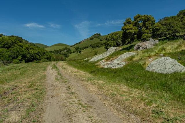 100 Old Stage Rd, San Juan Bautista CA: https://media.crmls.org/mediaz/9618867a-f629-4630-820d-62c60984a20e.jpg