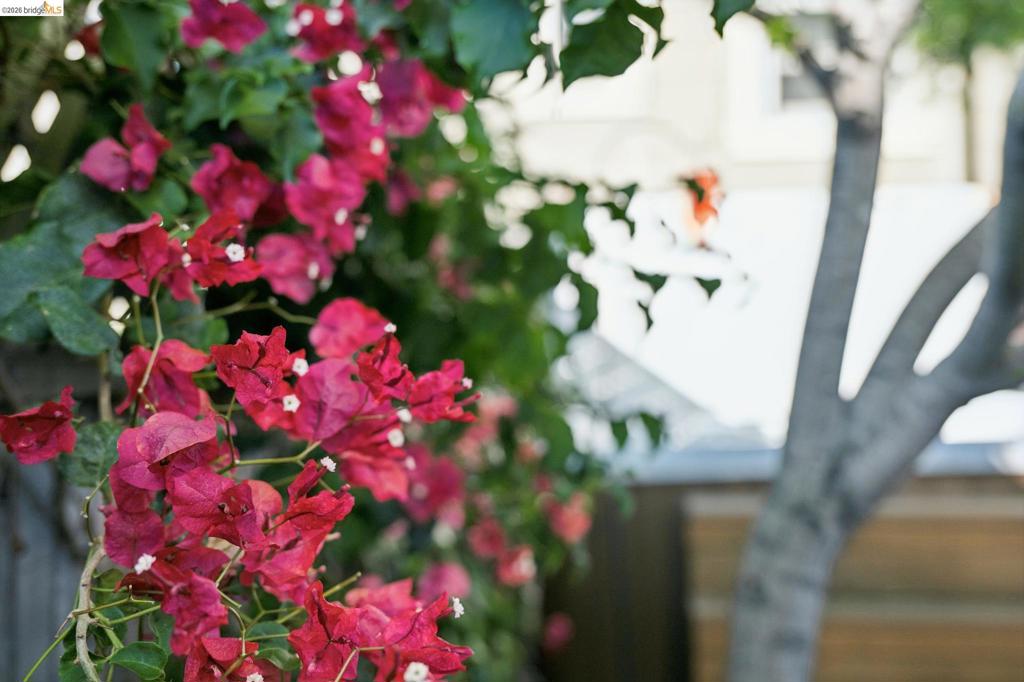 https://media.crmls.org/mediaz/961904cb-0f1d-4e27-a899-f778e5ea22e4.jpg?preset=X-Large