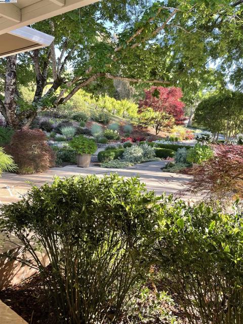 8700 Oak Tree Ln, Castro Valley CA: https://media.crmls.org/mediaz/96264f85-09eb-4a17-8ba8-3f1309a71abd.jpg