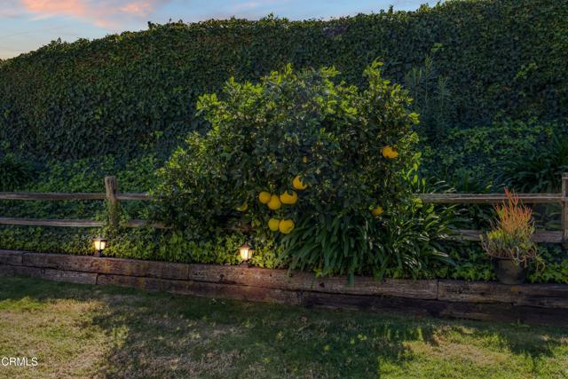 Detail Gallery Image 46 of 52 For 2246 Adrian St, Newbury Park,  CA 91320 - 3 Beds | 2 Baths