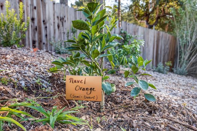Detail Gallery Image 57 of 72 For 1195 Rancho Ct, Ojai,  CA 93023 - 4 Beds | 4 Baths
