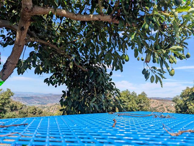 Detail Gallery Image 29 of 32 For 0 Couser Canyon Rd, Valley Center,  CA 92082 - – Beds | – Baths