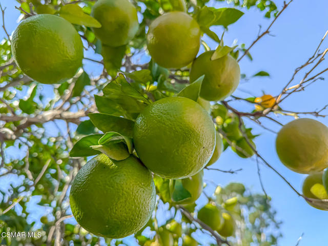 2098 Covington Avenue, Simi Valley CA: https://media.crmls.org/mediaz/9640d54c-cec1-4c73-9bd2-1545731946ca.jpg