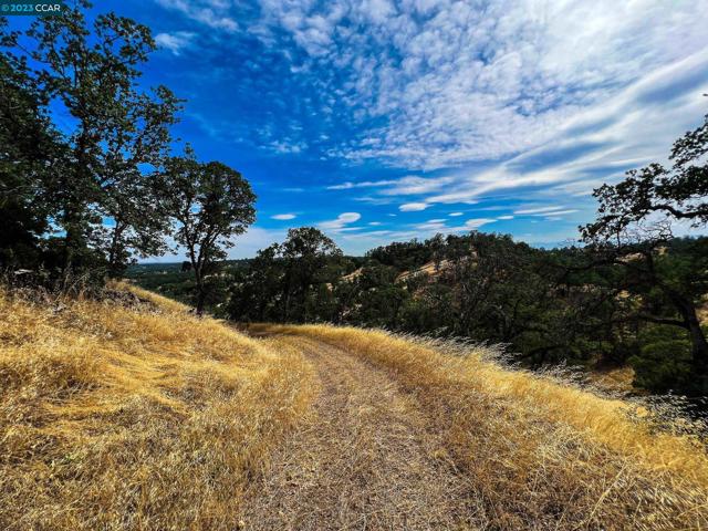 0 Lot 22 Rolling Oaks, Cottonwood CA: https://media.crmls.org/mediaz/9648b973-6d3d-4cf6-b3cd-c33e0ab4ed7d.jpg