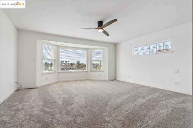 Empty room featuring plenty of natural light, ceiling fan, and carpet flooring