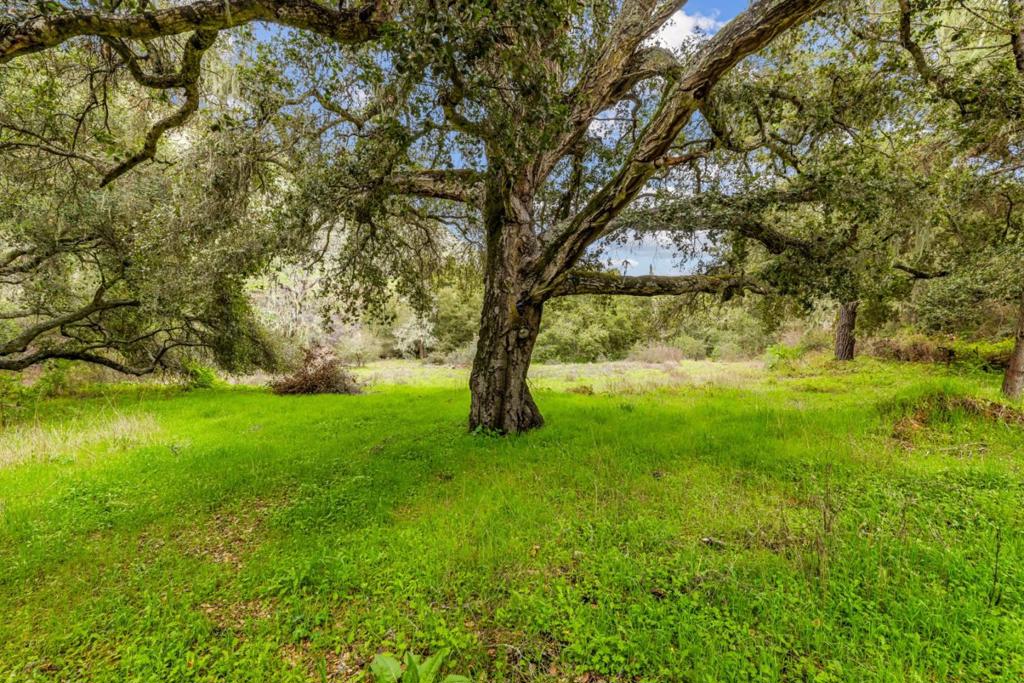 MLS #ML81998990 image #15