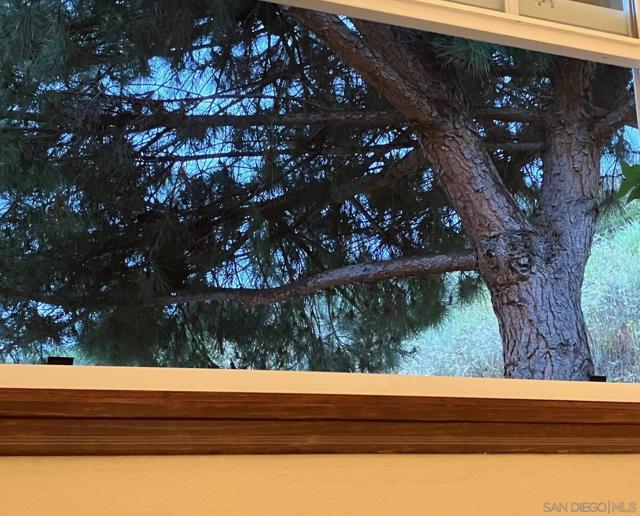 1088 Deer Springs Rd, San Marcos CA: https://media.crmls.org/mediaz/96610e8f-0a83-4f7b-9913-da0256bce0f1.jpg