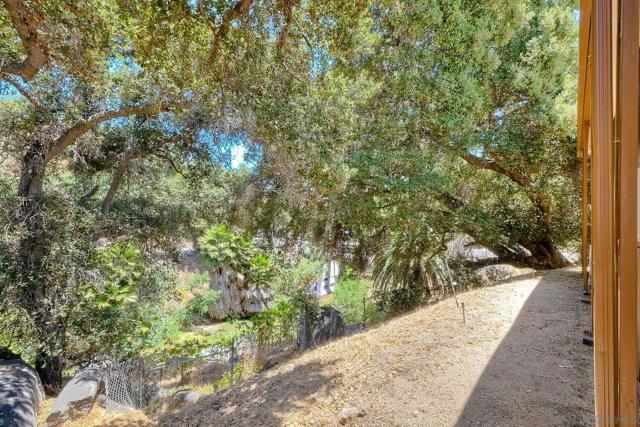 Side yard view of the seasonal creek