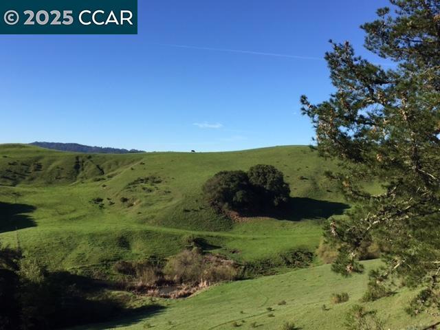 8 Southwaite Ct, Orinda CA: https://media.crmls.org/mediaz/96658771-b9d5-4b01-8c08-a4f535541d39.jpg