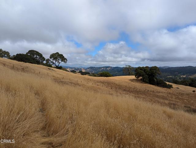 Detail Gallery Image 43 of 59 For 24051 Fig Tree Ln, Yorkville,  CA 95494 - – Beds | – Baths