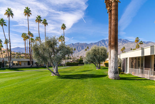 209 Desert Lakes Drive, Palm Springs CA: https://media.crmls.org/mediaz/966adf81-92e4-4830-9c09-2552ea964907.jpg