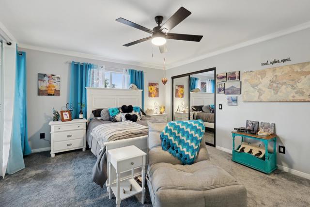 MLS #250036243SD image #21