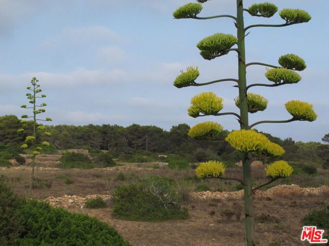 5169 Can Esperanza Toni Venda De Sa Tallaiassa,  CA: https://media.crmls.org/mediaz/9679d249-3927-442d-9dde-ca0d3306ba66.jpg