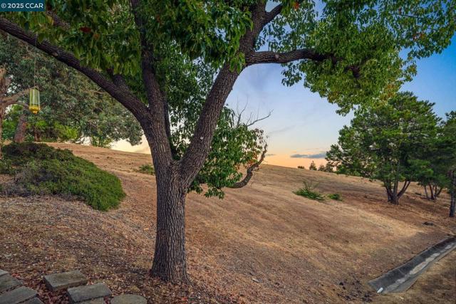 2510 Tea Tree Ct, Martinez CA: https://media.crmls.org/mediaz/967b1395-61ad-4cec-97e6-ca6ceaa52181.jpg
