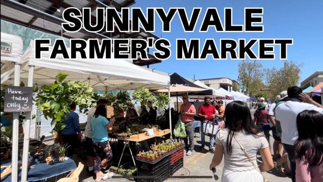 983 La Mesa Terrace, Sunnyvale CA: https://media.crmls.org/mediaz/967f8691-adbf-42cb-9ecb-7b636fcf031a.jpg