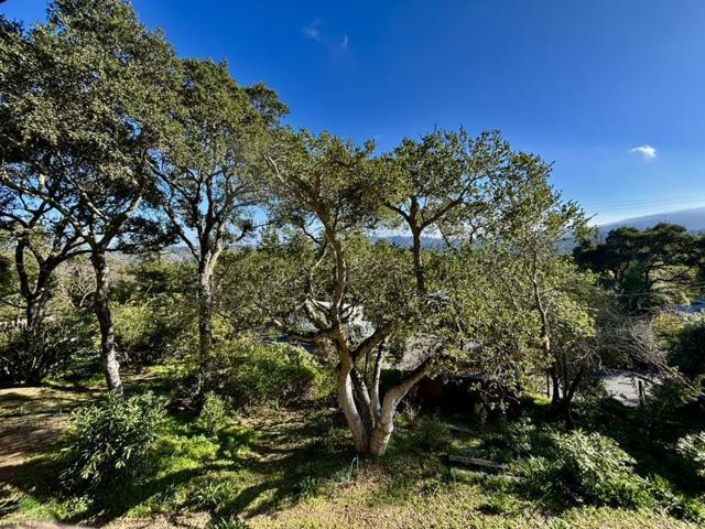 102 Santa Maria Avenue, Portola Valley CA: https://media.crmls.org/mediaz/96962b5f-eae6-4a25-8db1-089237424afb.jpg