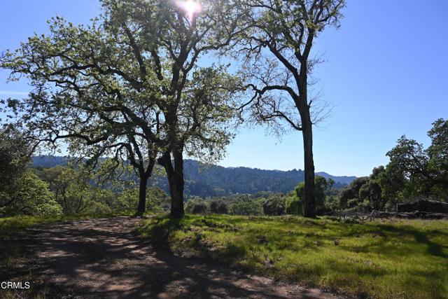 Detail Gallery Image 28 of 59 For 24051 Fig Tree Ln, Yorkville,  CA 95494 - – Beds | – Baths