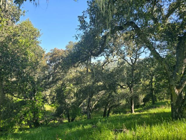 16 SLEEPY HOLLOW DRIVE, Carmel Valley CA: https://media.crmls.org/mediaz/96ad55b8-cf88-402b-8b8b-c14069bc7dc8.jpg