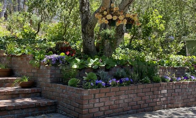 25349 Flanders Drive, Carmel CA: https://media.crmls.org/mediaz/96afb101-9cb9-4d7d-b88a-285d0dd1cfb6.jpg