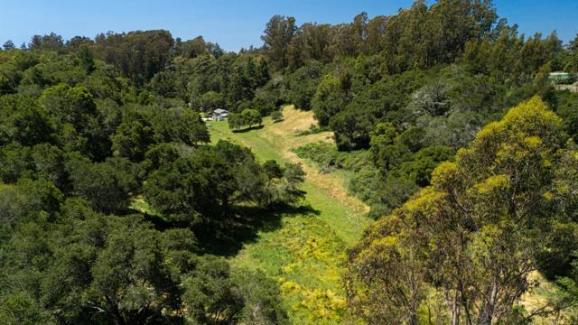 3554 Paul Sweet Road, Santa Cruz CA: https://media.crmls.org/mediaz/96b5db11-8aa6-409d-bc61-c259672d62ed.jpg