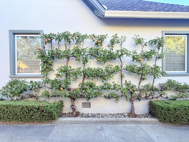 1223 Rhus Street, San Mateo CA: https://media.crmls.org/mediaz/96b84d3c-ccc1-4b22-8107-24289a9bde69.jpg
