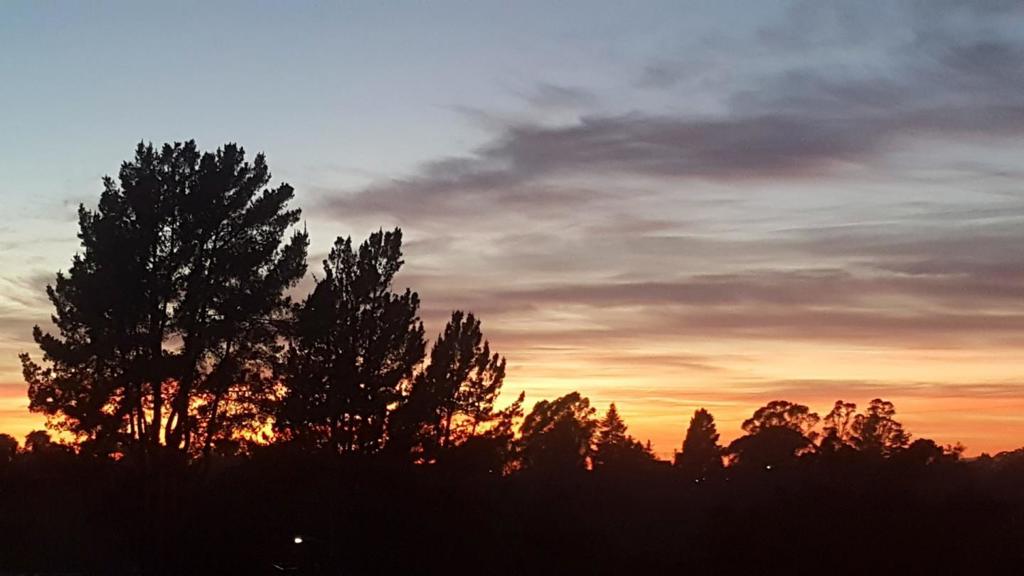 https://media.crmls.org/mediaz/96b993bf-d9f7-4e00-9f2c-6b93423d82e5.jpg?preset=X-Large
