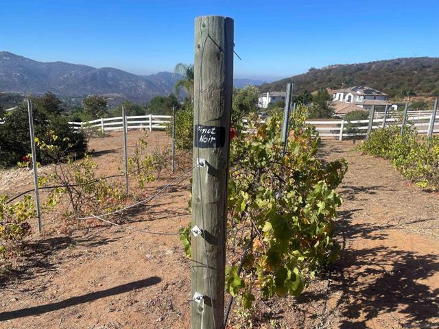 15068 Creek Hills Rd, El Cajon CA: https://media.crmls.org/mediaz/96bbac05-b0f3-43c6-9573-886e65873518.jpg