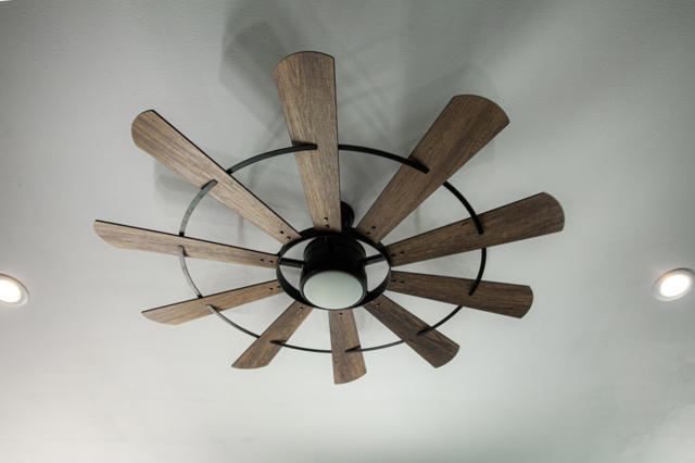 Fan