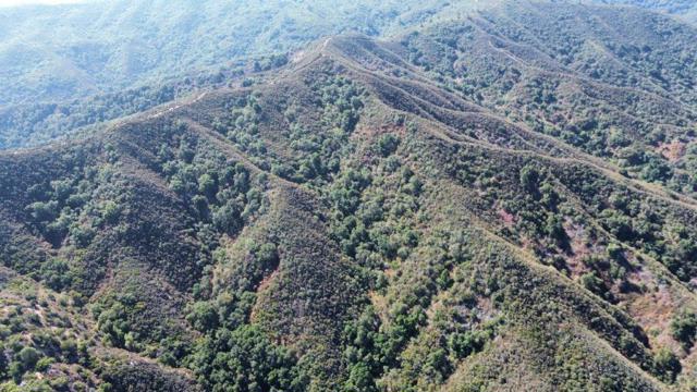 0 San Juan Canyon Road, San Juan Bautista CA: https://media.crmls.org/mediaz/96c56b4e-b47e-44a8-a55b-4b183c381715.jpg